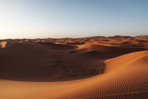 Piękny krajobraz wydm na pustyni Sahara w Maroku. Fotografia podróżnicza.