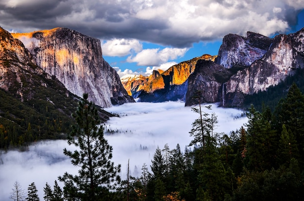 Piękny krajobraz Yosemite park narodowy