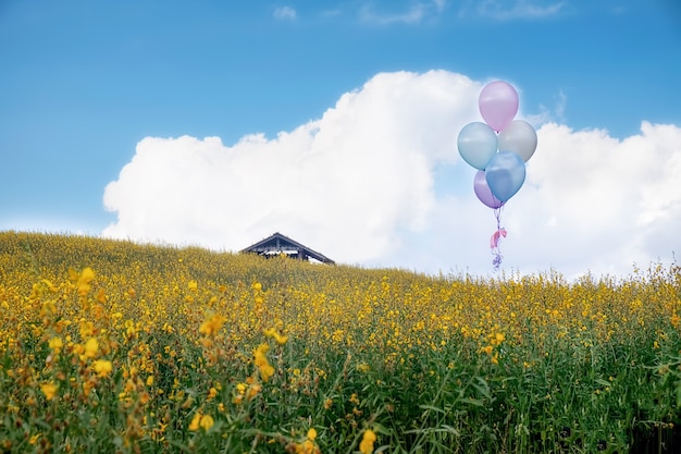 Piękny Krajobraz Z Balonów