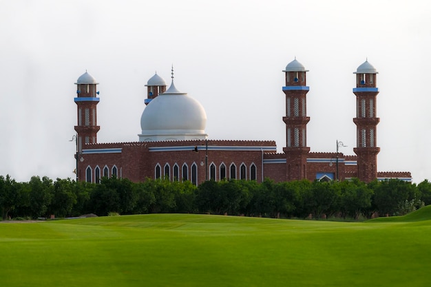 piękny krajobraz z bujną zieloną trawą i drzewami z ptakami pole golfowe w multan rumanza