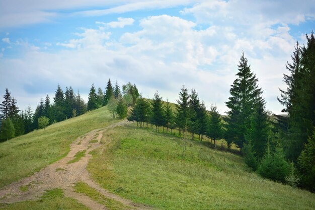 Piękny krajobraz z górskim lasem