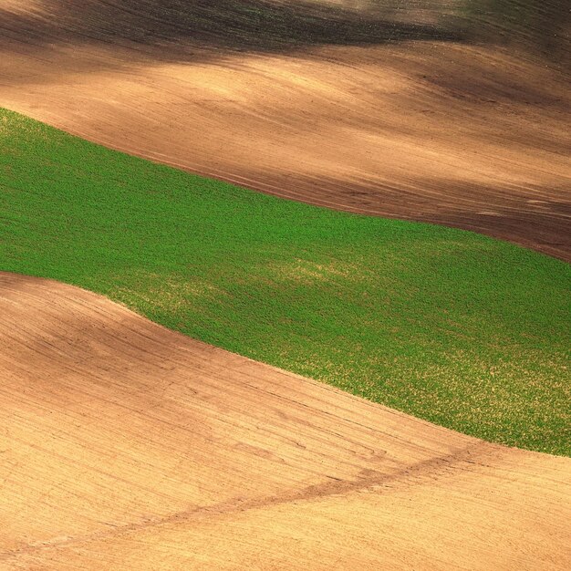 Piękny krajobraz z wiosenną naturą Fale na polu Południowe Morawy Morawskie Toskania Czechy Europa