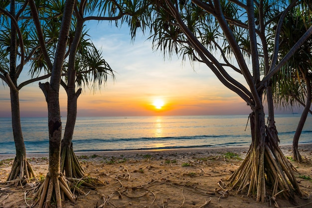 Piękny Krajobraz Z Zachodem Słońca Na Tropikalnej Plaży Z Palmami