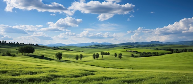 Piękny krajobraz z zielonym polem i niebieskim niebem
