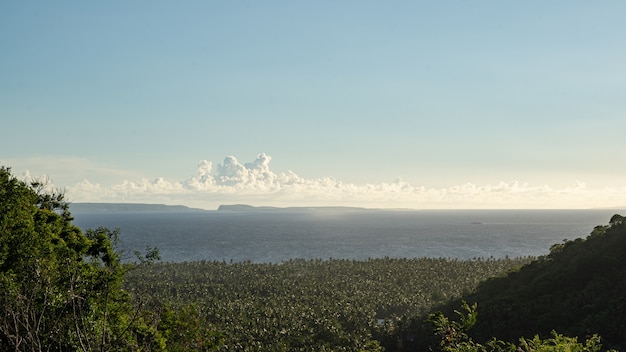 Piękny krajobraz zielonej doliny na brzegu morza w Krabi, Tajlandia pień fotografia