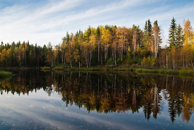 Piękny las jesienią