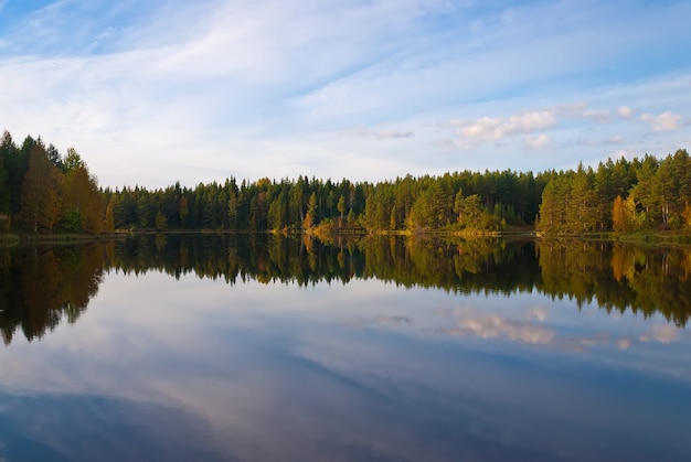 Piękny las jesienią