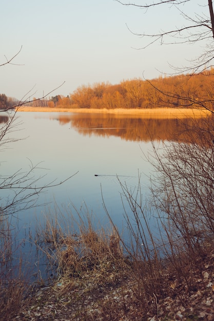 Piękny Las Jezioro Wczesną Wiosną