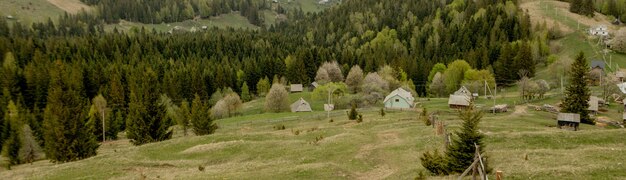 Piękny Lato Krajobraz, Wioska Blisko Karpacki, Ukraina, Europa.