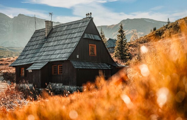 Piękny letni dzień na dolinie Gąsienicowej w polskich Tatrach Trekking Hala Gąsienicowa Dolina Gąsienicowa w Tatrach Zakopane Polska