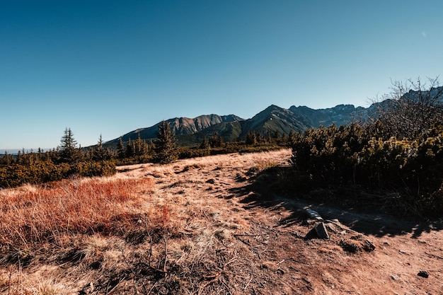 Piękny Letni Dzień Na Dolinie Gąsienicowej W Polskich Tatrach Trekking Hala Gąsienicowa Dolina Gąsienicowa W Tatrach Zakopane Polska