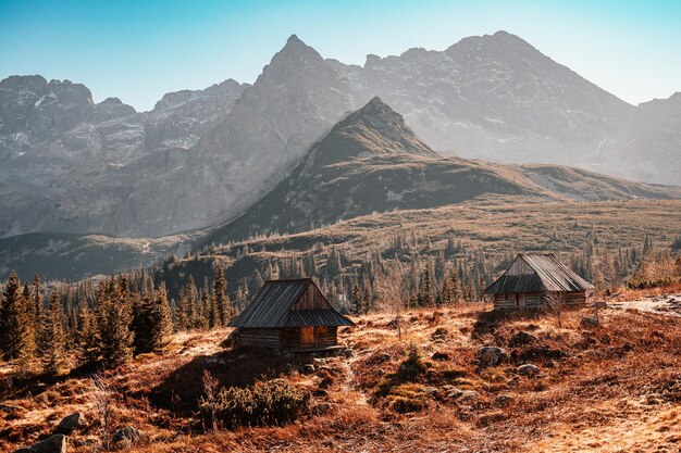 Piękny letni dzień na dolinie Gąsienicowej w polskich Tatrach Trekking Hala Gąsienicowa Dolina Gąsienicowa w Tatrach Zakopane Polska