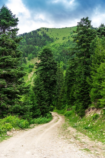 Piękny letni krajobraz w Savsat, prowincja Artvin, Turcja