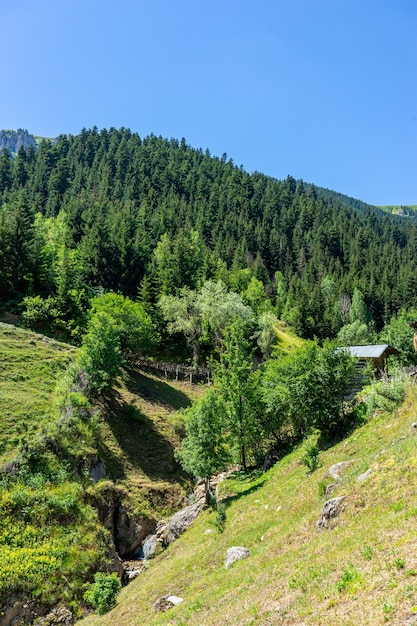 Piękny letni krajobraz w Savsat, prowincja Artvin, Turcja