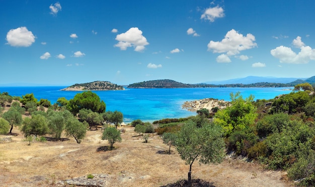 Piękny letni krajobraz wybrzeża Morza Egejskiego Sithonia w pobliżu plaży Lagonisi Halkidiki Grecja