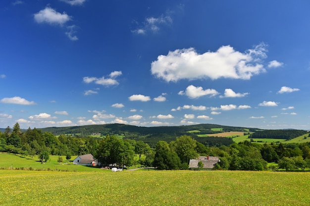 Piękny Letni Krajobraz Z Naturą łąka Z Lasem I Błękitne Niebo W Słoneczny Dzień Highlands Czechy