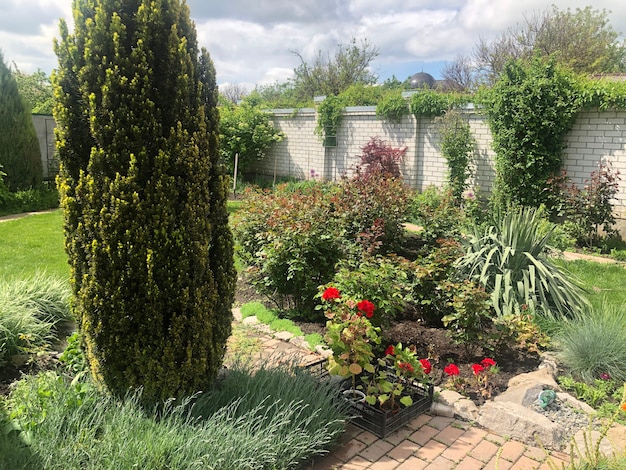 Piękny letni ogród i kwiaty na podwórku domu