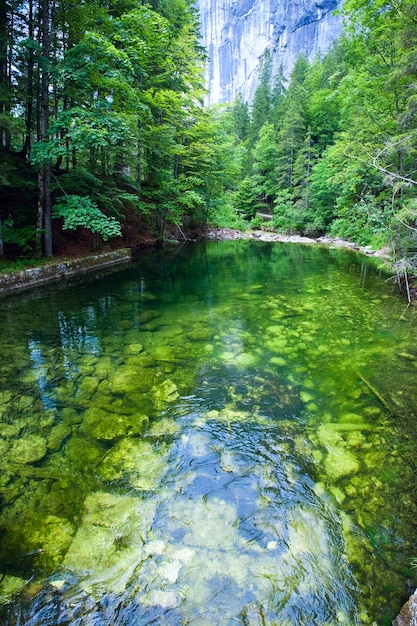 Piękny Letni Widok Na Jezioro Alpejskie Toplitzsee, Austria