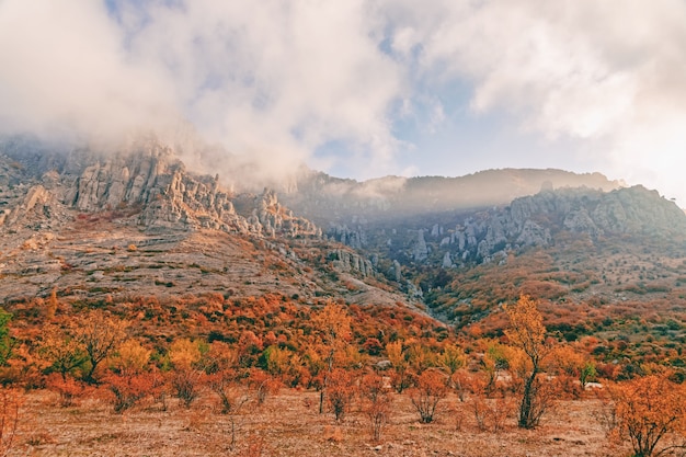 Piękny malowniczy górski krajobraz jesień z jesiennymi drzewami i żółtymi liśćmi na tle gór skalistych