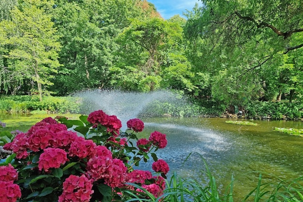 Piękny mały zielony park z fontanną