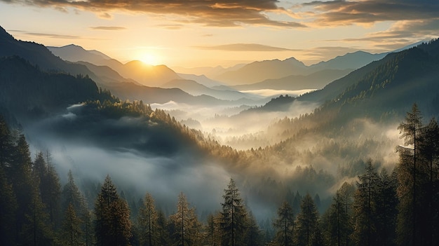 Piękny matinee mgły las w promieniach wschodzącego słońca Wysokiej jakości ilustracja