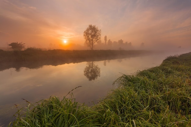 Piękny mglisty świt wiosną nad rzeką