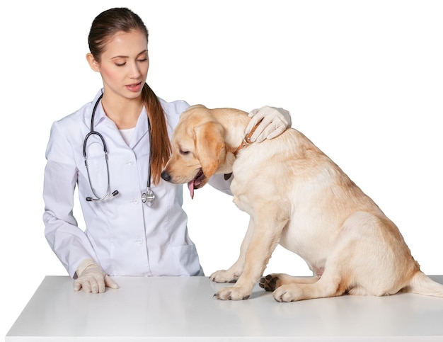 Piękny młody lekarz weterynarii z psem na białym tle