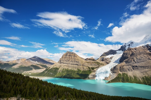 Piękny Mount Robson w sezonie letnim, Kanada