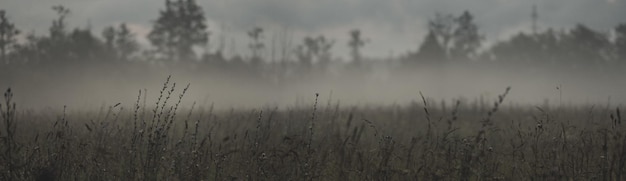 Piękny naturalny mistyczny panoramiczny krajobraz wsi Szara mgła rozpościera się nad łąką Niesamowite piękno natury Skopiuj przestrzeń