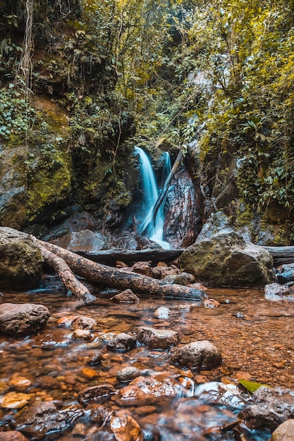 Piękny naturalny wodospad Parku Narodowego Cerro Azul Meambar Panacam w Yojoa Honduras