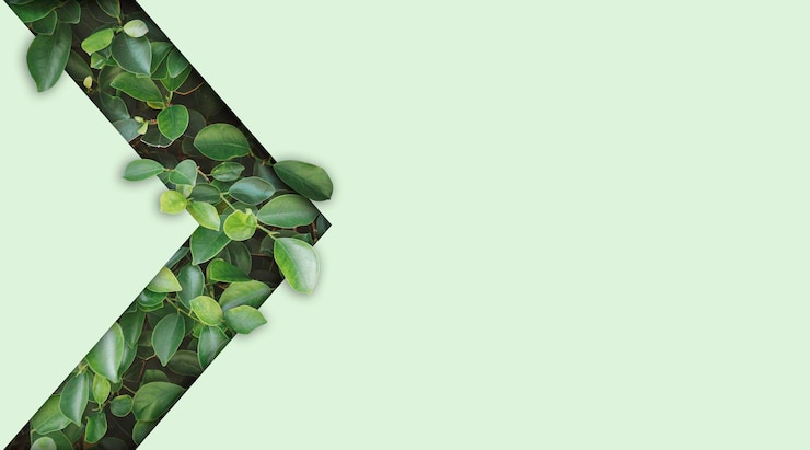 Zdjęcie piękny naturalny zielony liść na jasnozielonym tle z przestrzenią do kopiowania dla środowiska i koncepcji marketingu materiałów produktów ekologicznych