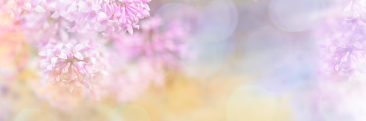 Zdjęcie piękny niewyraźne żółto różowy wzór granicy kwiatów bzu z bokeh na zaproszenie lub karty z pozdrowieniami. niewyraźne gałęzie bzu z bliska. nieostrość. skopiuj miejsce na tekst. szeroki baner.