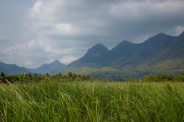 Piękny odkryty panoramiczny krajobraz gór i dużego zielonego jeziora Sam Roi Yot Tajlandia Egzotyczna górska fotografia przyrodnicza Tajlandii Góra w prowincji Tajlandii z niesamowitą tropikalną przyrodą