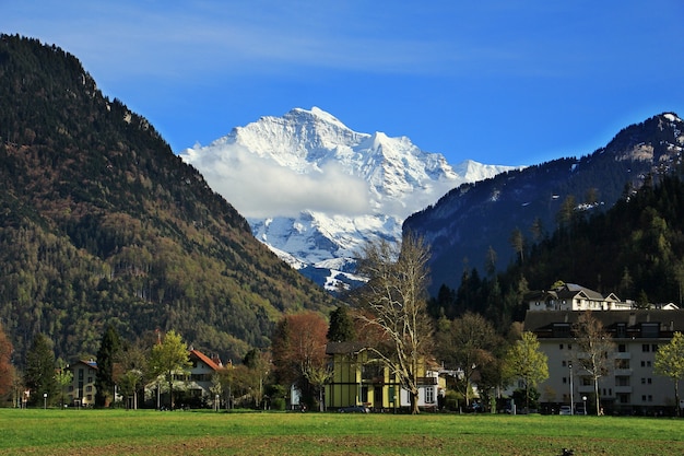 Piękny ogród, wieś i krajobraz przed szwajcarskim Alpy