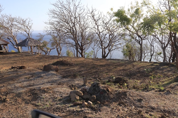 Piękny panoramiczny widok na bali w Indonezji