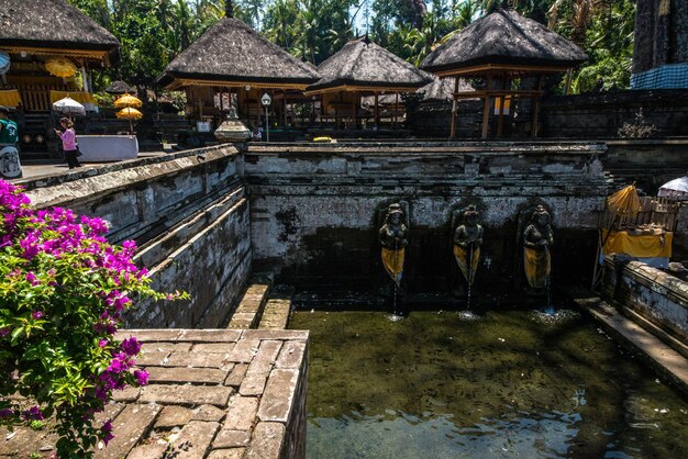 Piękny panoramiczny widok na bali w Indonezji