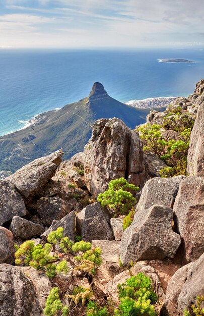 Piękny panoramiczny widok na Górę Stołową w Kapsztadzie Bujne zielone krzewy i drzewa rosnące na skalistych szczytach w spokojnej naturze w harmonii Malownicze naturalne miejsce turystyczne w Zachodnim Przylądku