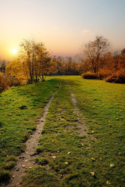 Piękny park jesienią