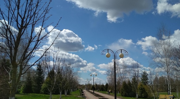 piękny park miejski młode drzewa słoneczny dzień spacer na świeżym powietrzu