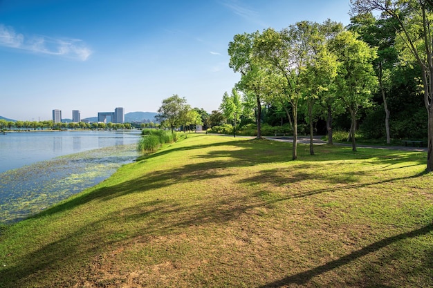 Piękny park miejski z drzewami nad jeziorem i górami