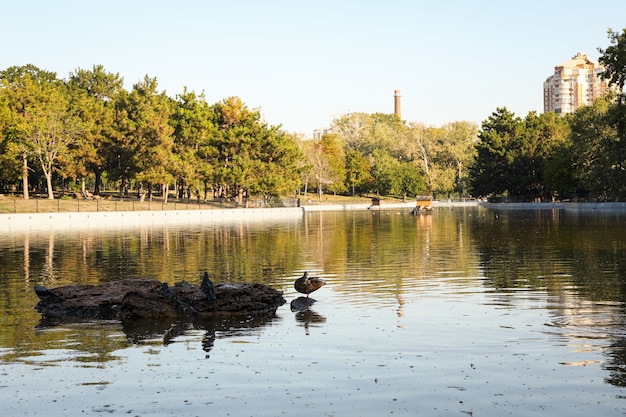 Piękny park miejski z jeziorem w słoneczny poranek