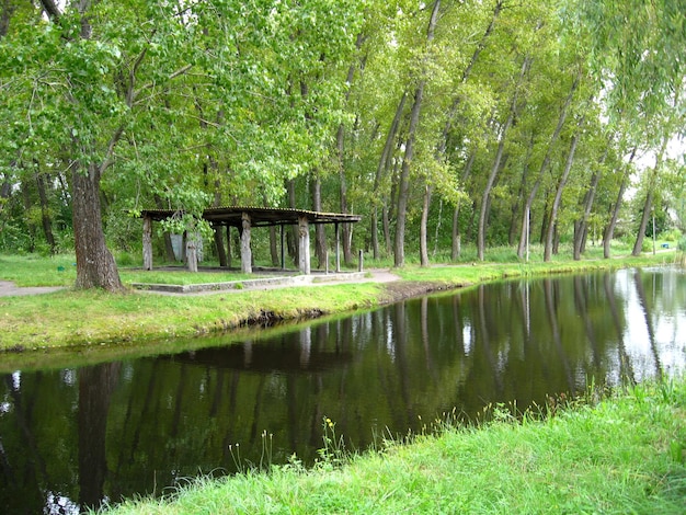 Piękny park miejski z rzeką i zielonymi drzewami