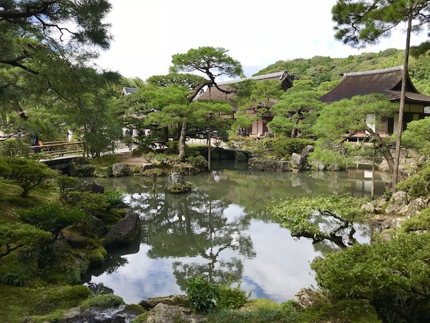 Piękny Park W Japonii