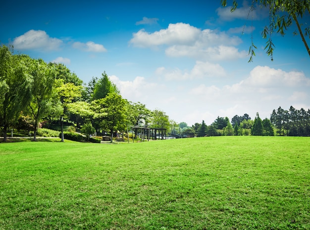 Piękny park