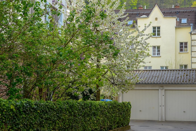 Piękny pejzaż na ulicach miasta Heidelberg Europa w Niemczech