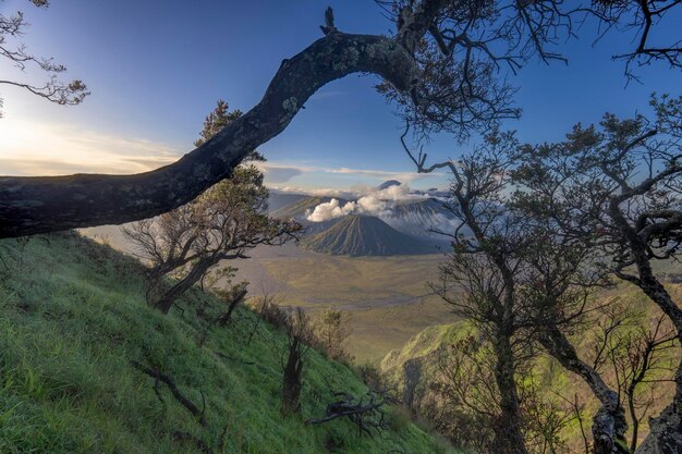 Piękny poranek w górach Bromo