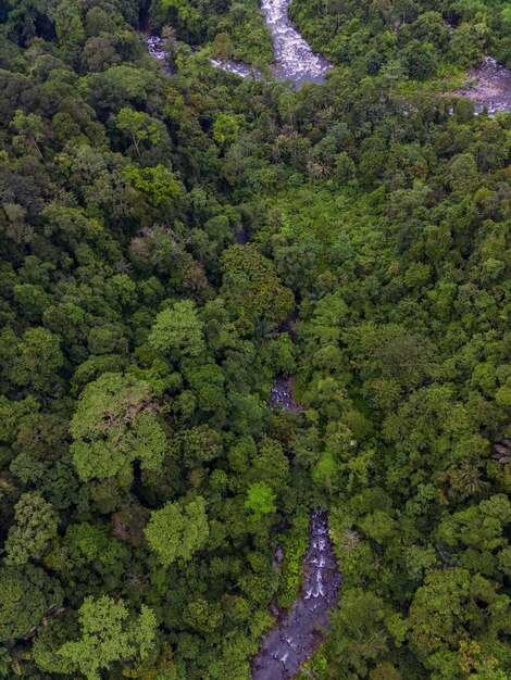 Piękny Poranny Widok Indonezja Panorama Krajobrazowe Pola Ryżowe Z Pięknym Kolorem I Naturalnym Niebem L