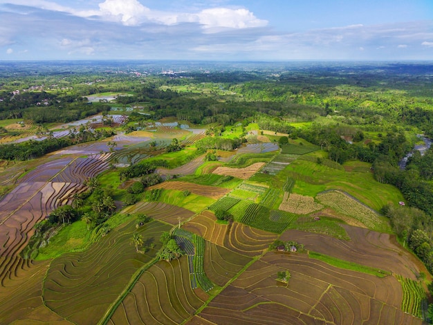 Piękny poranny widok Indonezji Zdjęcie lotnicze panoramicznego obszaru zielonych pól ryżowych