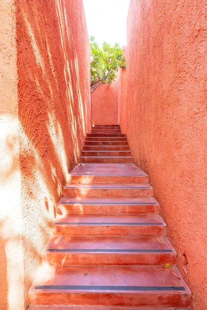 piękny różowy i pomarańczowy stopień schodów