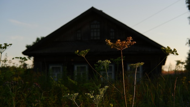 Piękny rustykalny letni krajobraz stare drewniane domy z bali region wołogdy